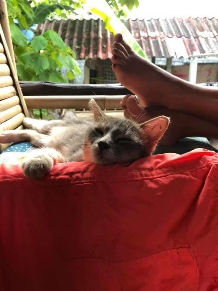 Angel Lanta Bungalow Ko Lanta Екстериор снимка